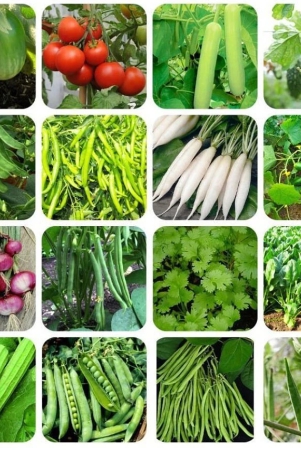 homeagro-mixed-vegetable-seeds-pack-of-500