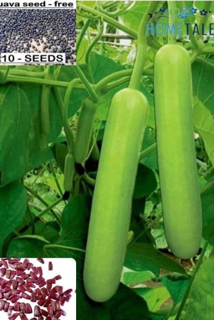 homeagro-bottle-gourd-vegetable-20-seeds-