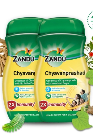 chyavanprashad-450gpack-of-2-450g-x-2u