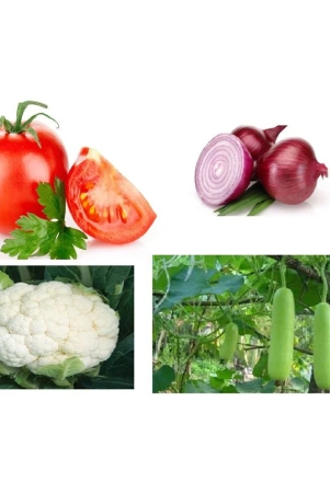 combo-of-best-quality-tomato-onion-bottle-gourd-cauliflower-vegetable-seeds