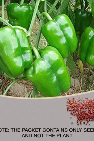 high-quality-hybrid-green-capsicum-50-seeds