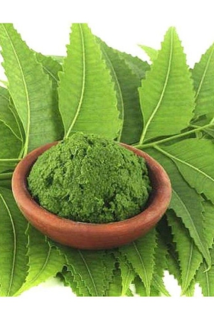 MYGODGIFT  Neem Patta Powder - Azadirachta Indica - Neem Leaves  100 gm