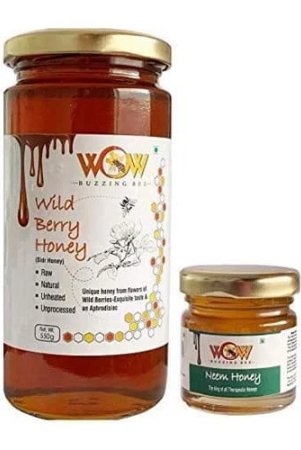 wow-buzzing-bee-raw-honey-wild-berry-neem-pack-of-2-1-550-gr-and-1-55-gr