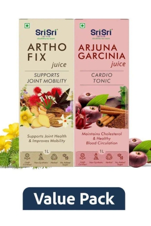 sri-sri-tattva-health-juice-duo