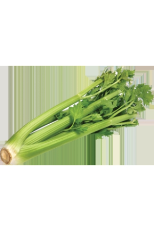 celery-100-gms