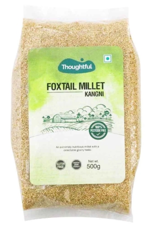 thoughtful-pesticide-free-foxtail-millet-500-gm