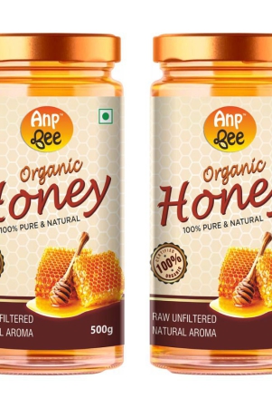 anp-bee-honey-raw-organic-honey-500-g-pack-of-2