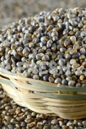 Pearl Millet / Bajra 500 Gms