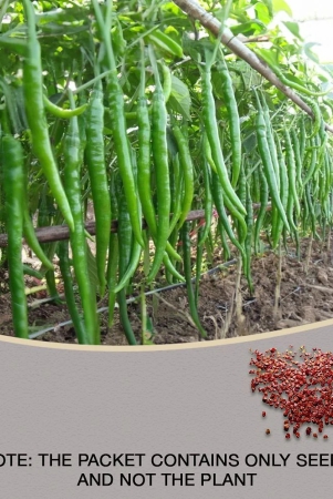 hot-chilli-pepper-desire-seed-pack-of-50-seed-x-1-per-pkts