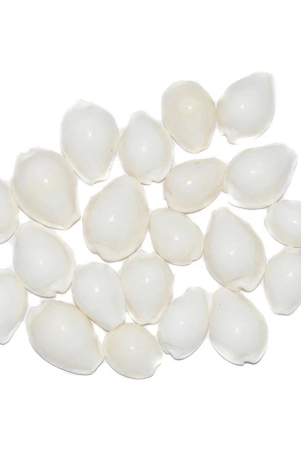 aksaya-marketing-marble-white-kodi-shell-pack-of-21