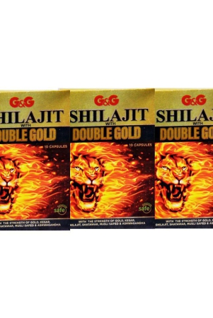 rikhi-shilajit-with-double-gold-cap-10-nos-pack-of-3