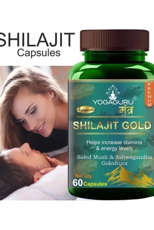 shilajit-gold-premium-vitality-ayurvedic-supplement-for-men-60-capsules