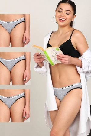 women-branded-elastic-hipster-pack-of-3-briefs-2xl-grey