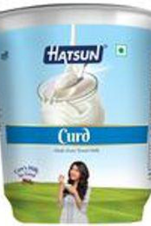 hatsuncurd-cup-400g