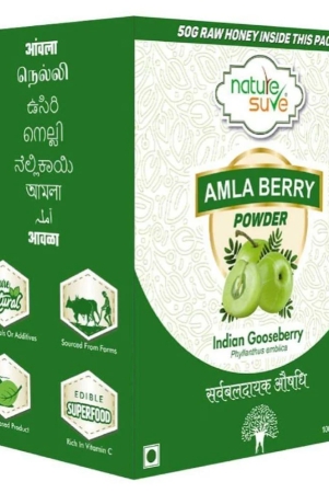 nature-sure-amla-powder-150-gm