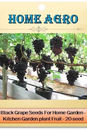 homeagro - Fruit Seeds ( 20 seeds )