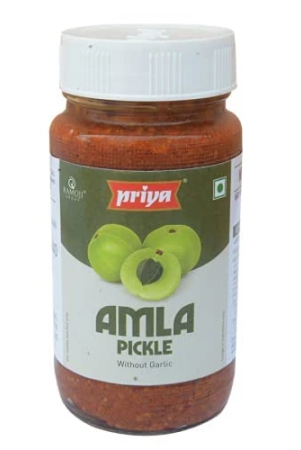 priya-amla-pkl-wo-garlic-300g-1-pc