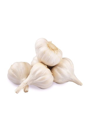 garlic-whole