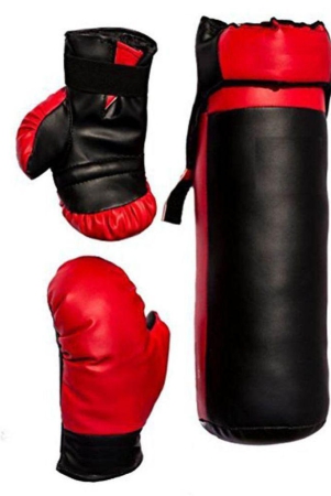 wolphy-assorted-boxing-kit-for-kids-age-4-10-years-bag-head-gaurd-boxing-gloves