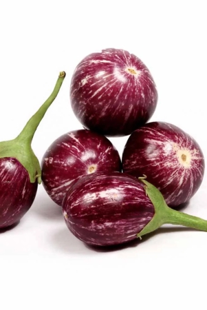 namdhari-brinjal-stripes-pb-250-gm