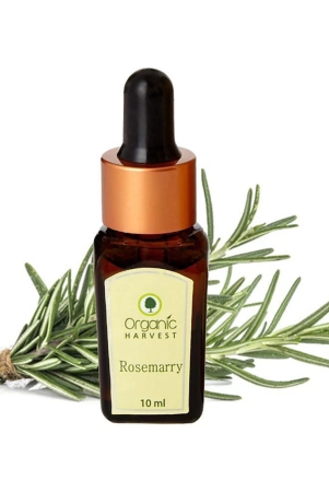 organic-harvest-rosemary-essential-oil-10ml