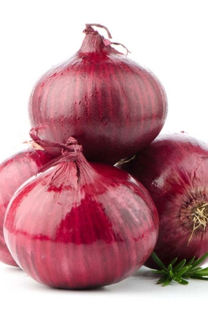 otp-onion-premium-1-kg