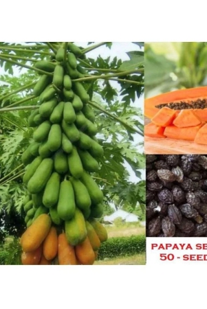 shivam-organic-seeds-thai-papaya-organic-variety-dwarf-fruit-50-seeds-instruction-manual