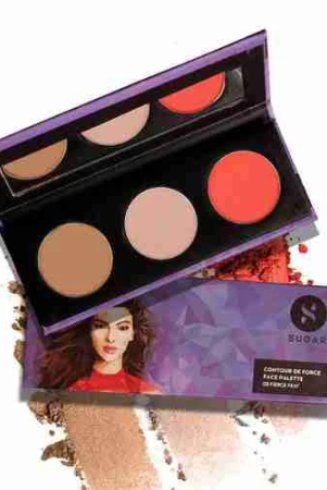 contour-de-force-face-palette-03-fierce-feat