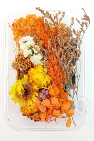 mix-style-natural-dry-flowers-25