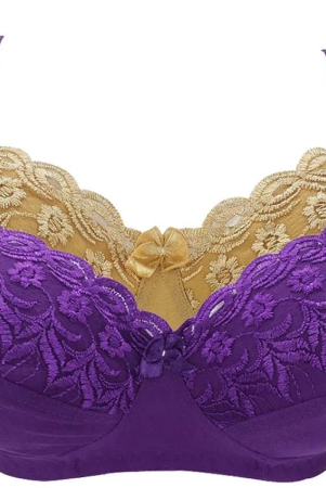 kiran-enterprises-cotton-minimizer-bra-purple-none