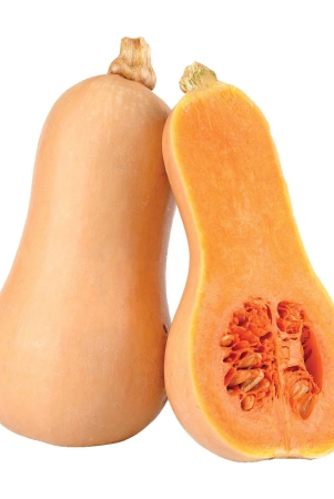 gourds-pumpkins-pumpkin-butternut-squash-1-kg