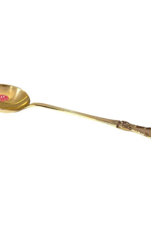 a-h-enterprises-brass-brass-serving-spoon-pack-of-1-brass