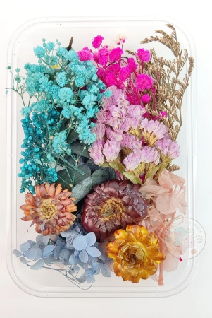 mix-style-natural-dry-flowers-19