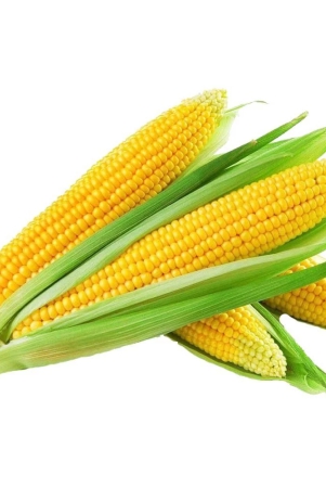 corn-and-peas-sweet-corn-1-kg