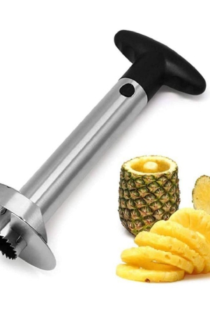 combo-of-pineapple-slicer-and-silicone-oil-brush-multicolor-pinapple-corer-1-pc-multicolor