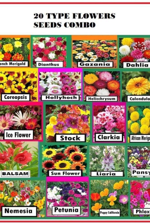 20-different-type-flower-seed-combo-pack-300-seeds-with-free-cocopeat-and-user-manual