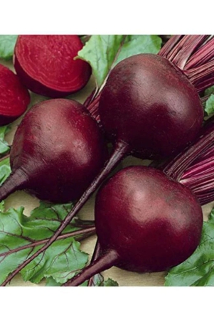 beetroot-microgreens-organic-vegetable-seeds-50-seeds-per-packet