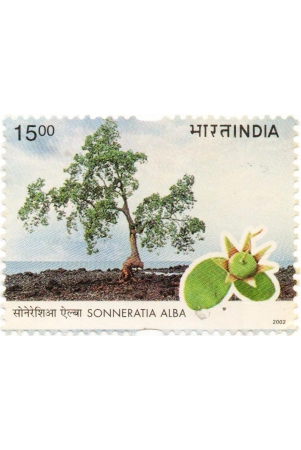 india-sonneratia-alba-used-postage-stamp