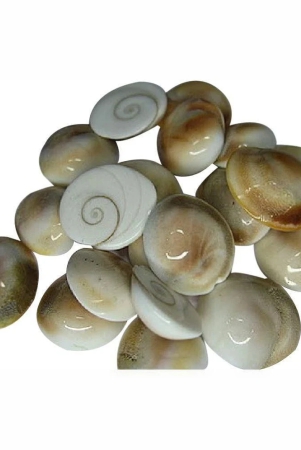 swadesibuyzzar-marble-kowdi-pack-of-10