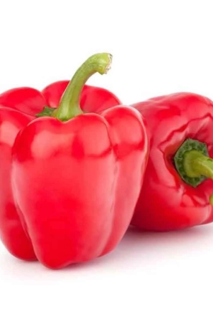 chillies-peppers-capsicum-red-1-kg