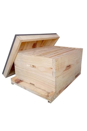 bee-boxes-apis-mellifera-1box