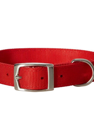 dog-neck-belts-144-x-08-small-size-adjustable-collar-belts-for-pets-pack-of-3-random-colours-will-be-sent