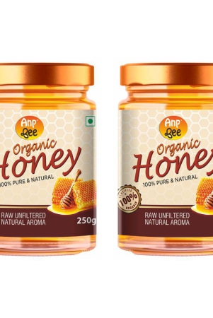 anp-bee-honey-raw-organic-honey-250-g-pack-of-2