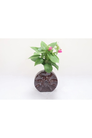 khurja-pottery-flower-vase-ring-matki-shape-brown-colour-9-inches