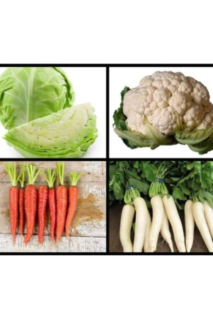 super-saver-combo-of-4-hybrid-vegetables-cabbage-cauliflower-white-radish-red-carrot-f1-hybrid