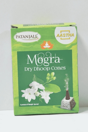 AASTHA MOGRA DRY DHOOP CONE - 20 GM