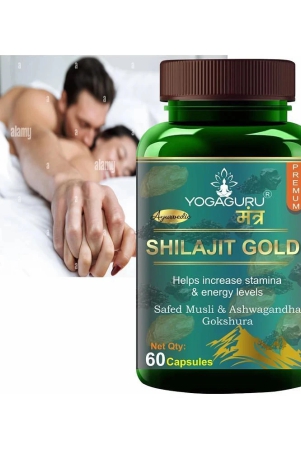 shilajit-for-strength-power-stamina-60-capsules