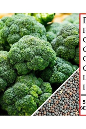 sky-star-agro-co-broccoli-vegetable-50-seeds-