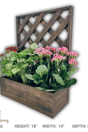 barish-wall-mounted-planter-single-square-handcrafted-with-rubberwood-indoor-planter-frame-with-stand-18-x-14-x-6-inches