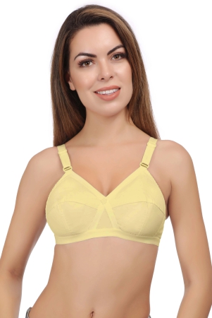 eves-beauty-full-coverage-women-non-padded-bra-42c-skin-cotton